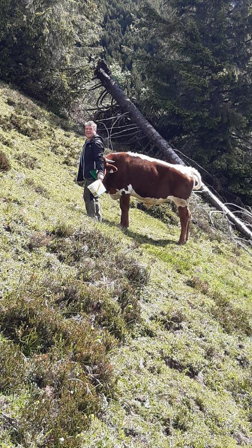 Wiesingbauer Saalfelden Eksteriør bilde